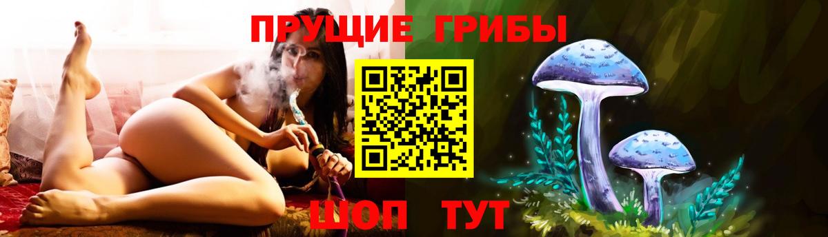 Псилоцибиновые грибы GOLDEN TEACHER  Псилоцибиновые грибы Psilocybine cubensis  Вход с VPN  Карталы 